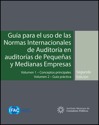 Guía para el uso de las Normas Internacionales de Auditoría en auditorías de pequeñas y medianas empresas Vol. 1 y 2