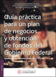 Guía práctica para un plan de negocios y obtención de fondos del Gobierno Federal, 2a edición 2016