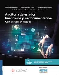 Auditoría de estados financieros y su documentación. Con énfasis en riesgos