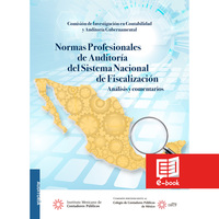 Normas Profesionales de Auditoría del Sistema Nacional de Fiscalización