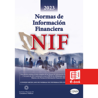 Normas de Informacion Financiera 2023