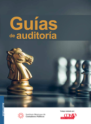 Guías de Auditoría 2024