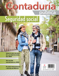 Revista de Contaduría Pública Febrero 2025