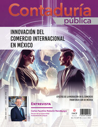 Revista de Contaduría Pública Noviembre 2024